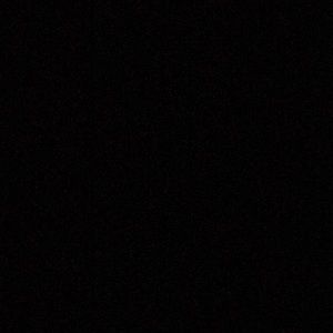 Meet your Posher, Mischa